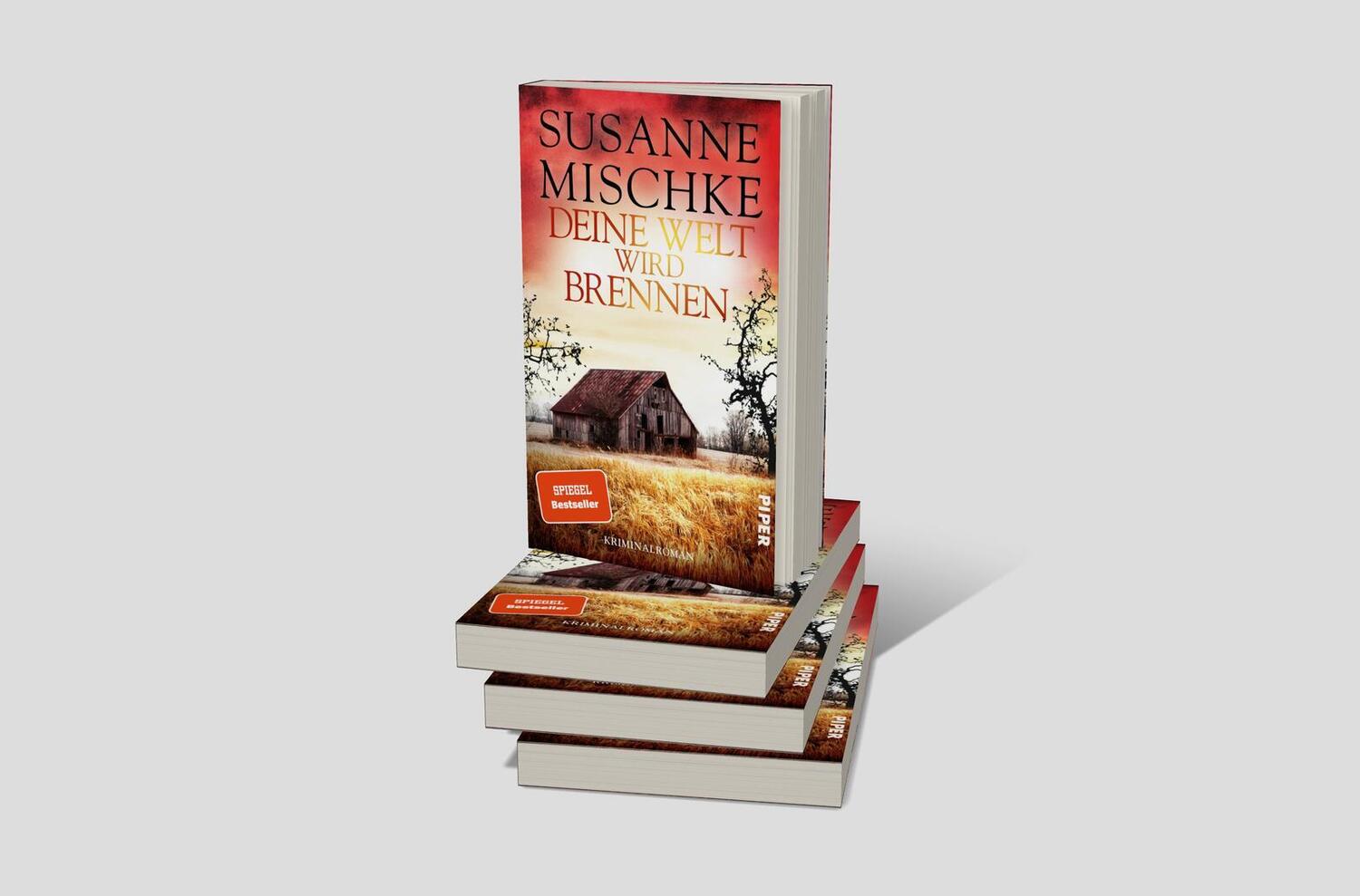 Bild: 9783492063739 | Deine Welt wird brennen | Susanne Mischke | Taschenbuch | 304 S.