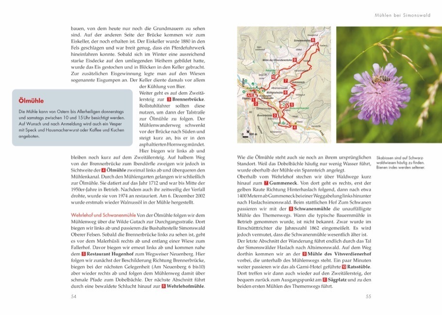 Bild: 9783862462896 | Wanderungen für Senioren - Schwarzwald | Lars Freudenthal | Buch