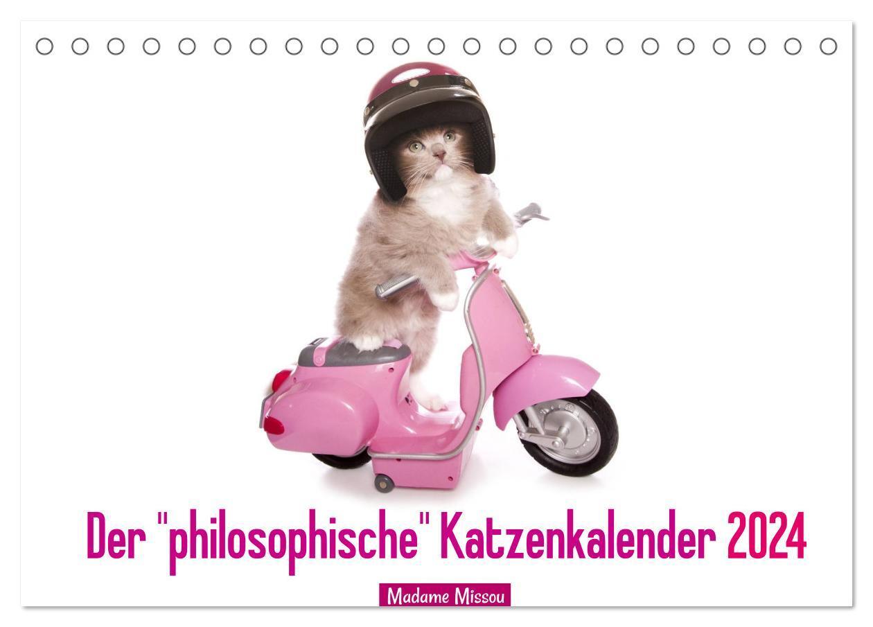 Cover: 9783675959859 | Der "philosophische" Katzenkalender 2024 (Tischkalender 2024 DIN A5...