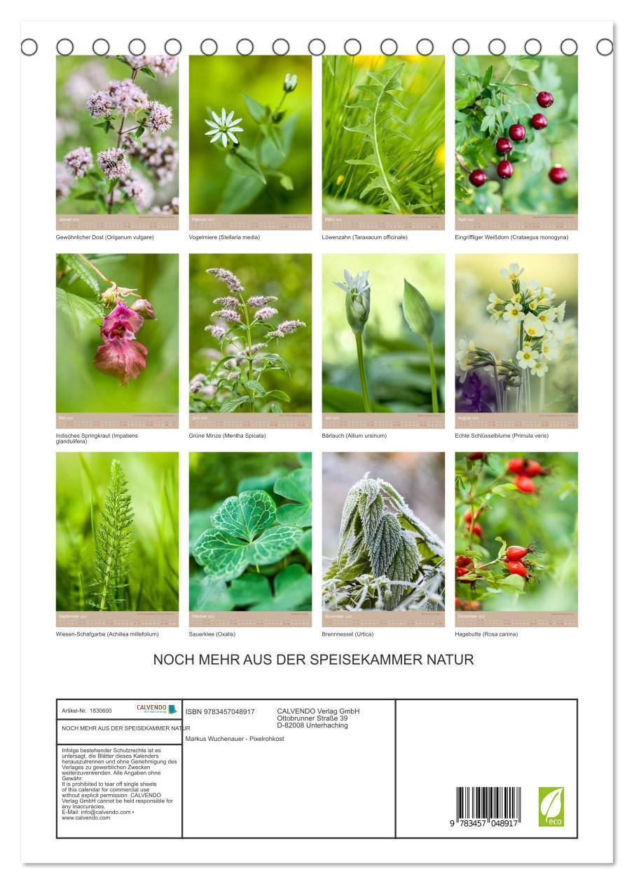 Bild: 9783457048917 | NOCH MEHR AUS DER SPEISEKAMMER NATUR (Tischkalender 2025 DIN A5...