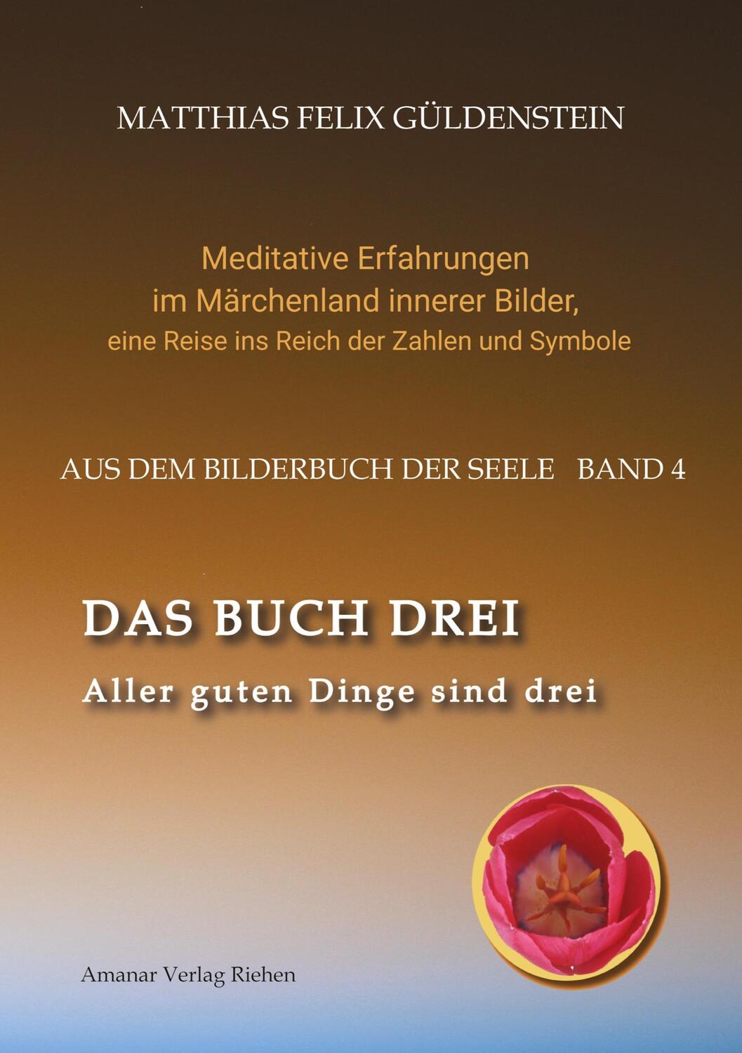 Cover: 9783347918320 | DAS BUCH DREI; Dreiteilung allgemein; Seelenmodelle der...