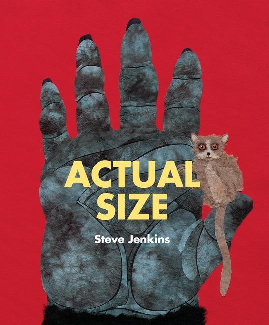 Cover: 9780547512914 | Actual Size | Steve Jenkins | Taschenbuch | Kartoniert / Broschiert