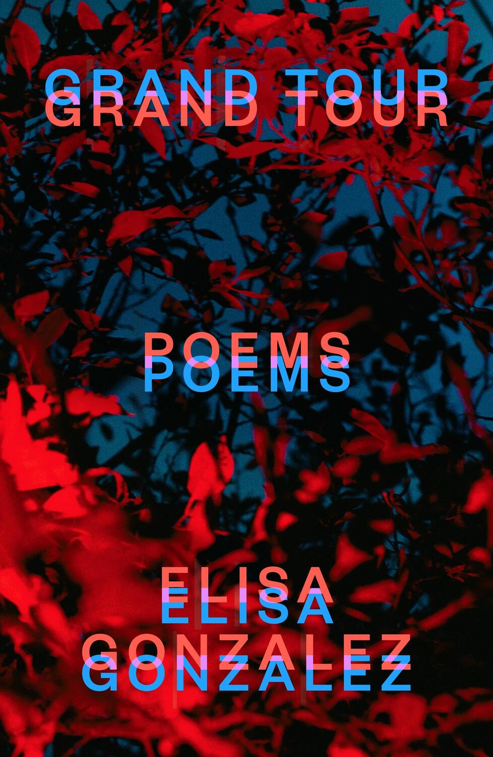 Cover: 9780374611378 | Grand Tour | Poems | Elisa Gonzalez | Buch | Englisch | 2023