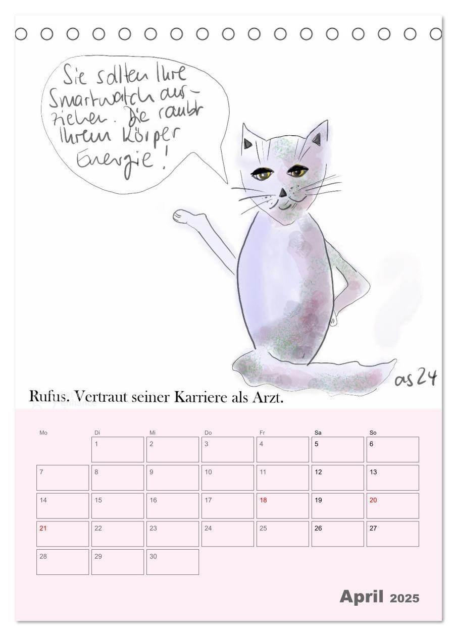 Bild: 9783457220818 | Therapie.Katzen (Tischkalender 2025 DIN A5 hoch), CALVENDO...