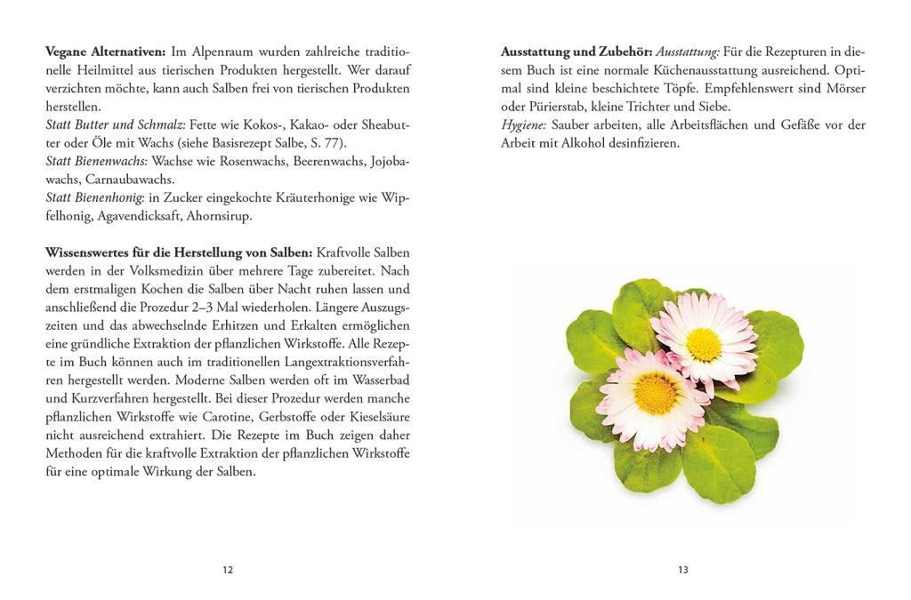 Bild: 9783710401770 | Das große kleine Buch: Heilsalben aus Wald und Wiese | Gabriela Nedoma