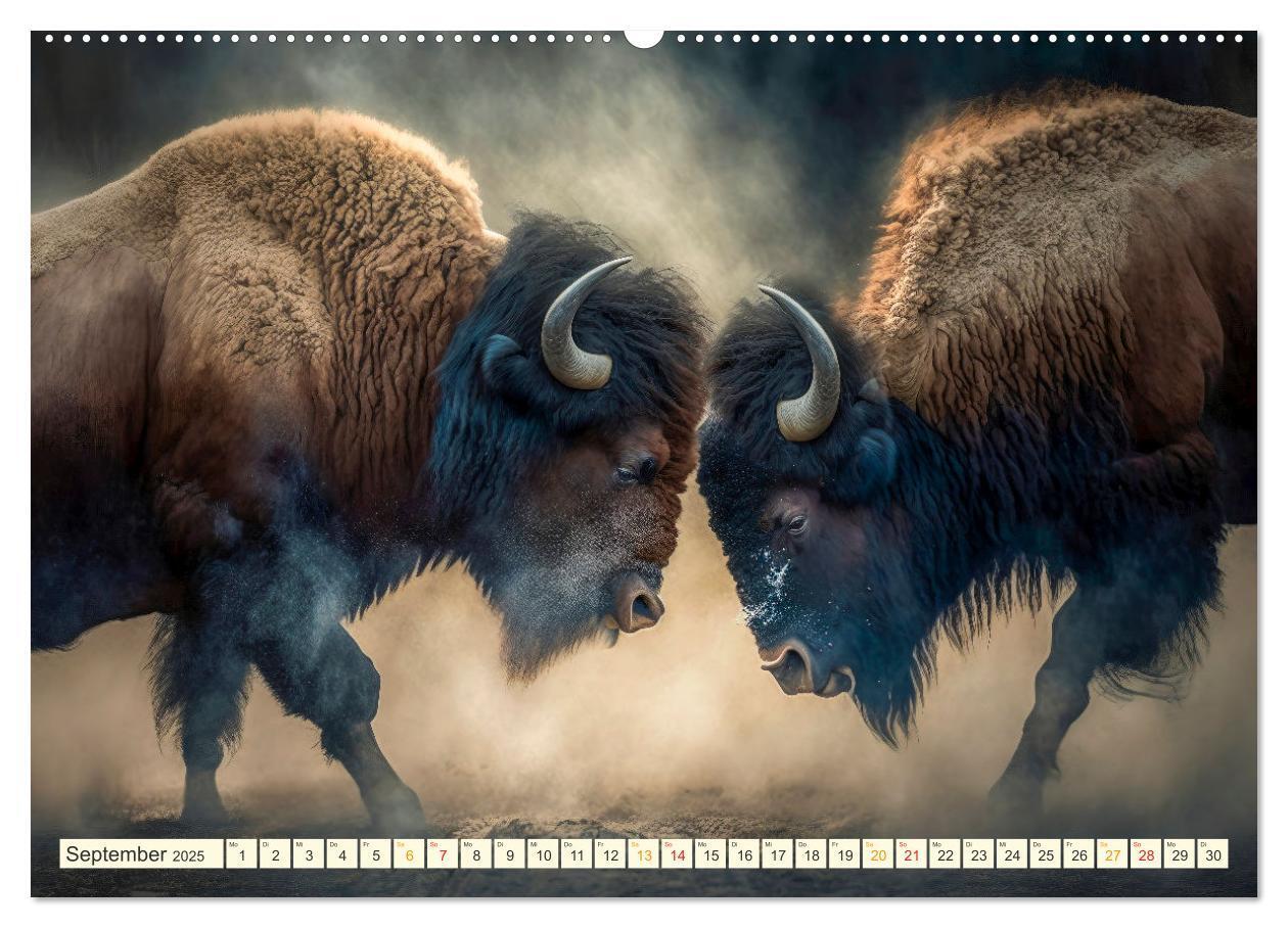 Bild: 9783383911491 | Amerikanischer Bison (Wandkalender 2025 DIN A2 quer), CALVENDO...