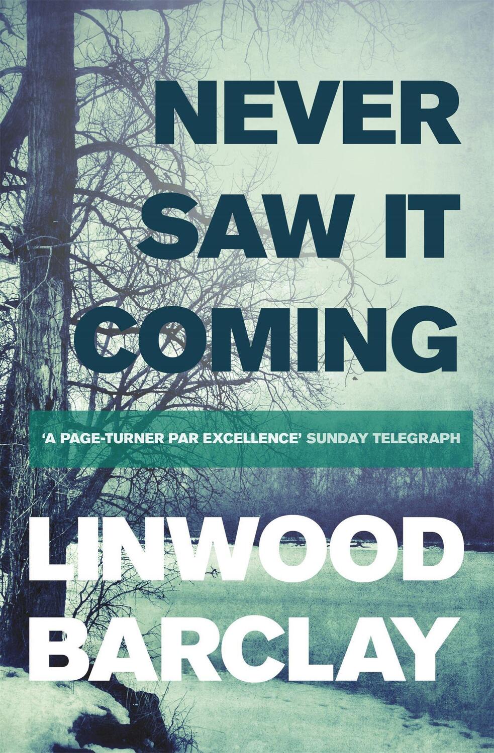 Cover: 9781409137634 | Never Saw it Coming | Linwood Barclay | Taschenbuch | Englisch | 2014