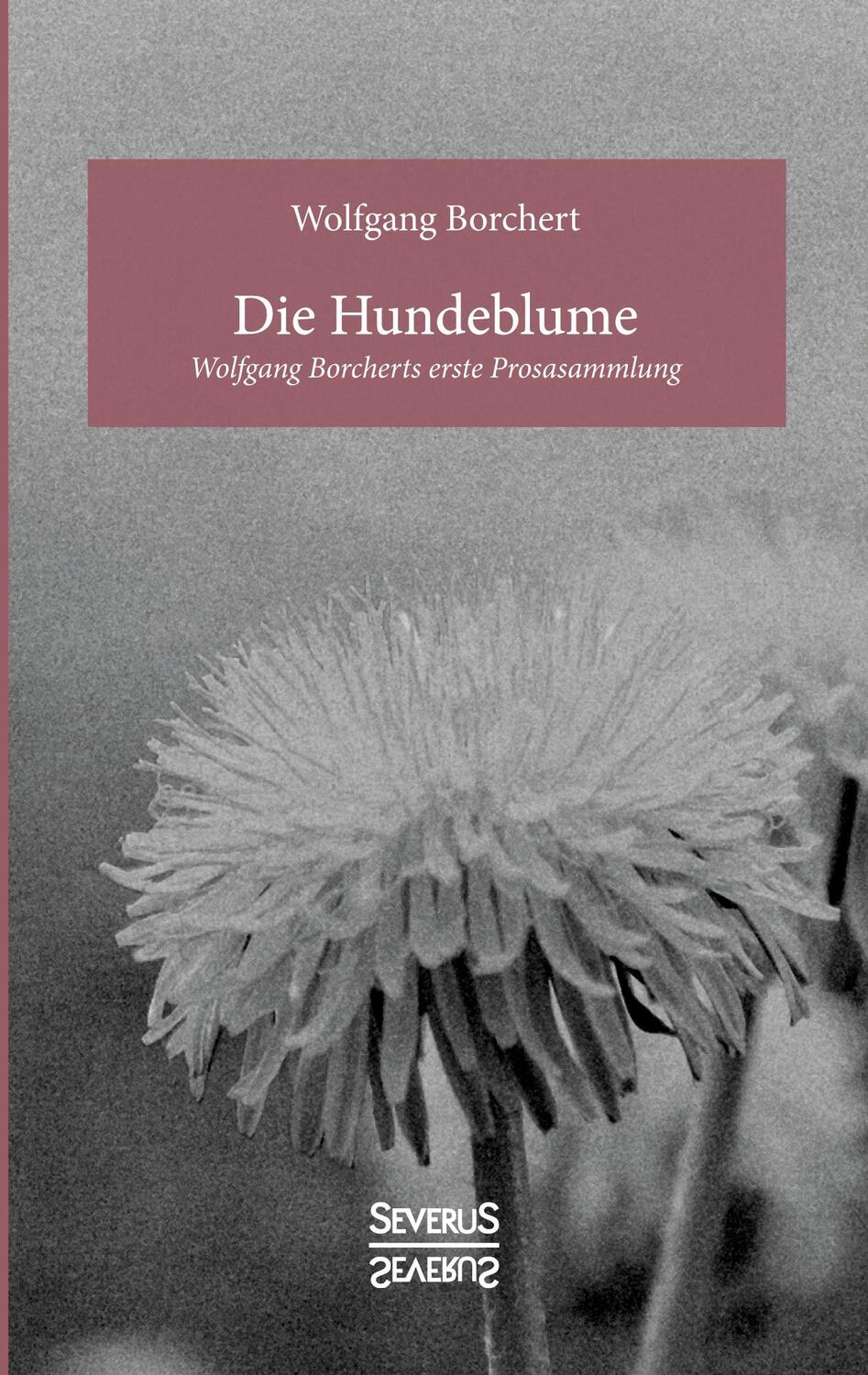 Cover: 9783963450945 | Die Hundeblume | Wolfgang Borcherts erste Prosasammlung | Borchert