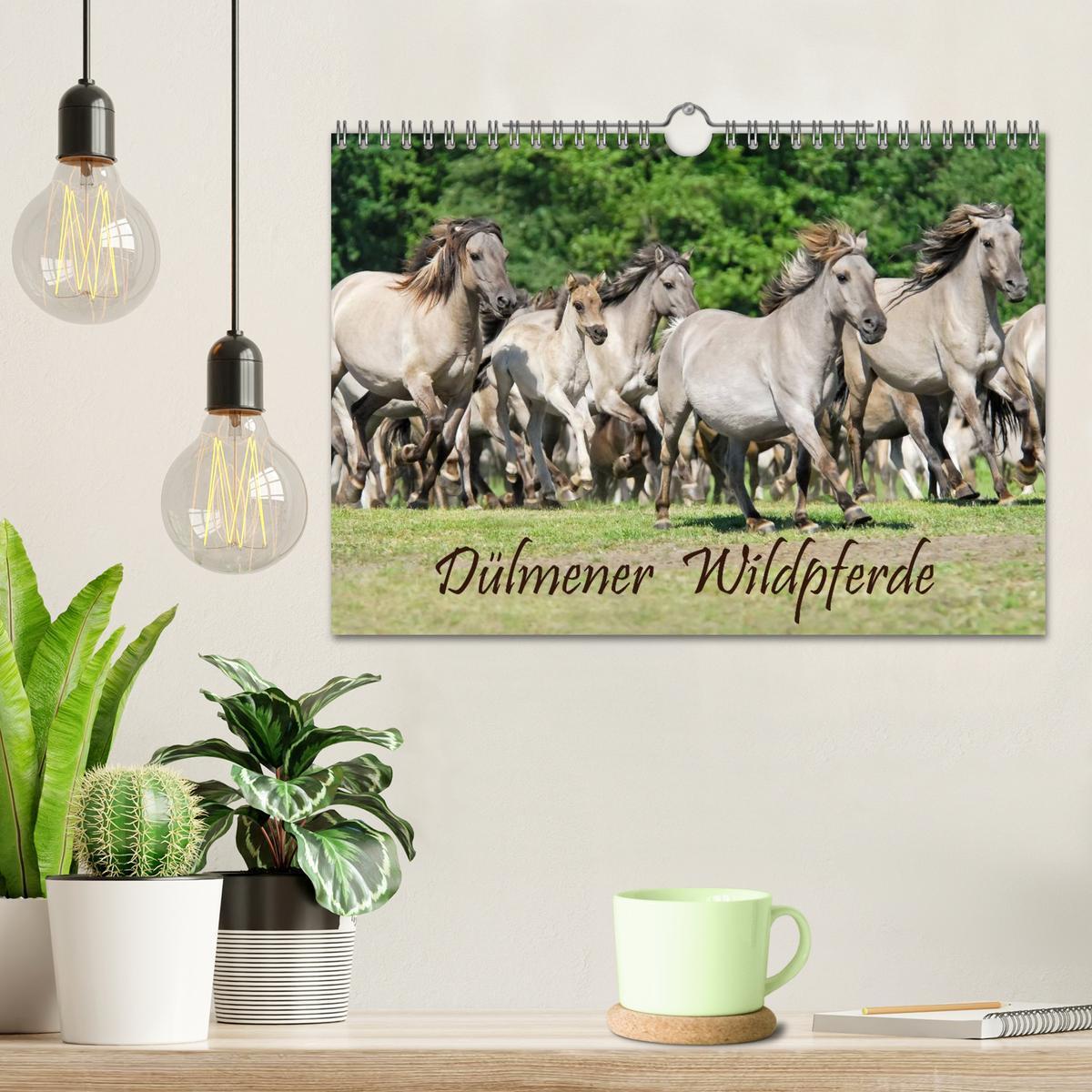 Bild: 9783435824762 | Dülmener Wildpferde (Wandkalender 2025 DIN A4 quer), CALVENDO...