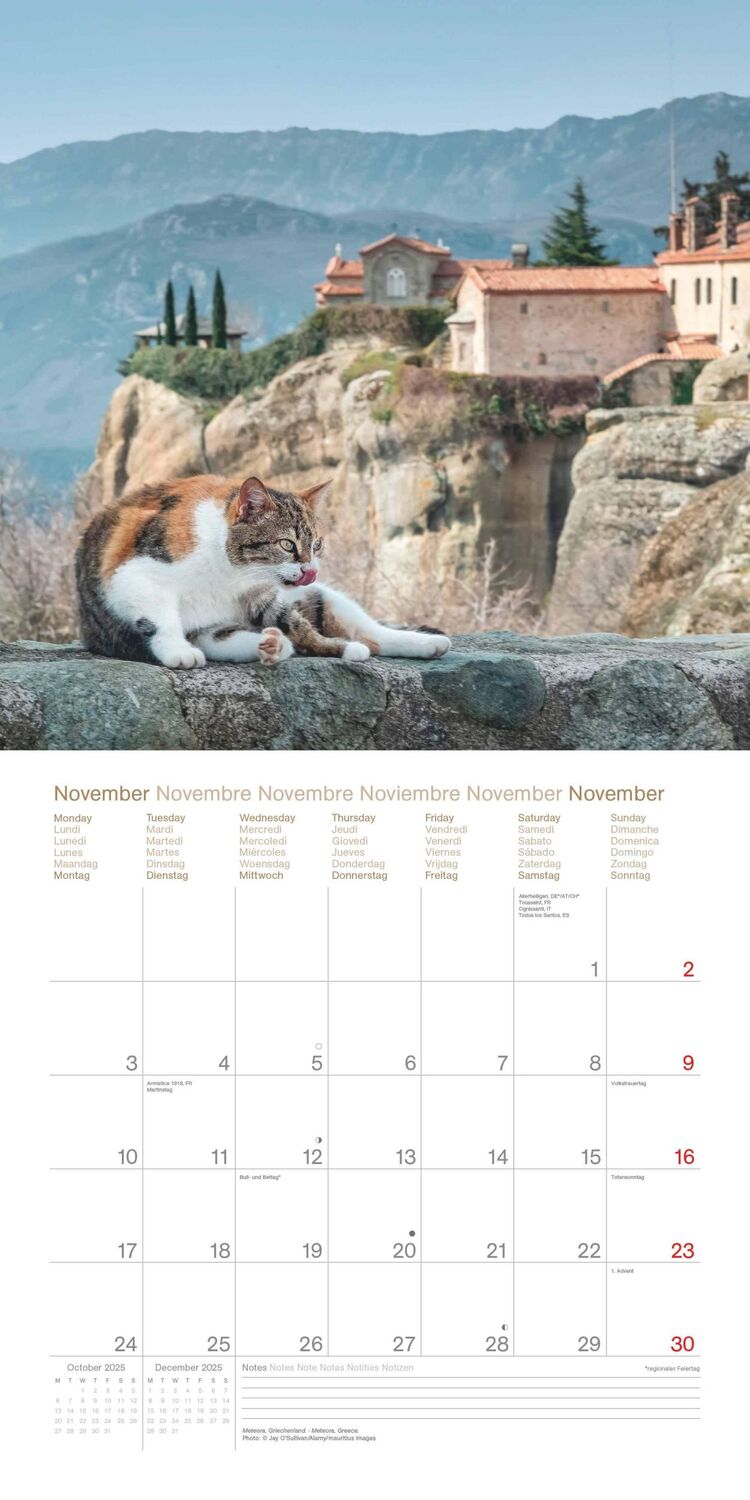 Bild: 4002725987945 | Cats Around the World 2025 - Wand-Kalender - Broschüren-Kalender -...