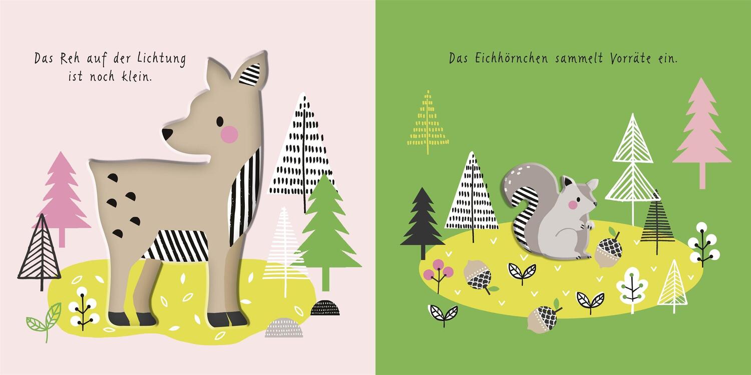 Bild: 9783831047673 | Meine ersten Tiere. Tiere im Wald | Franziska Jaekel | Buch | 12 S.