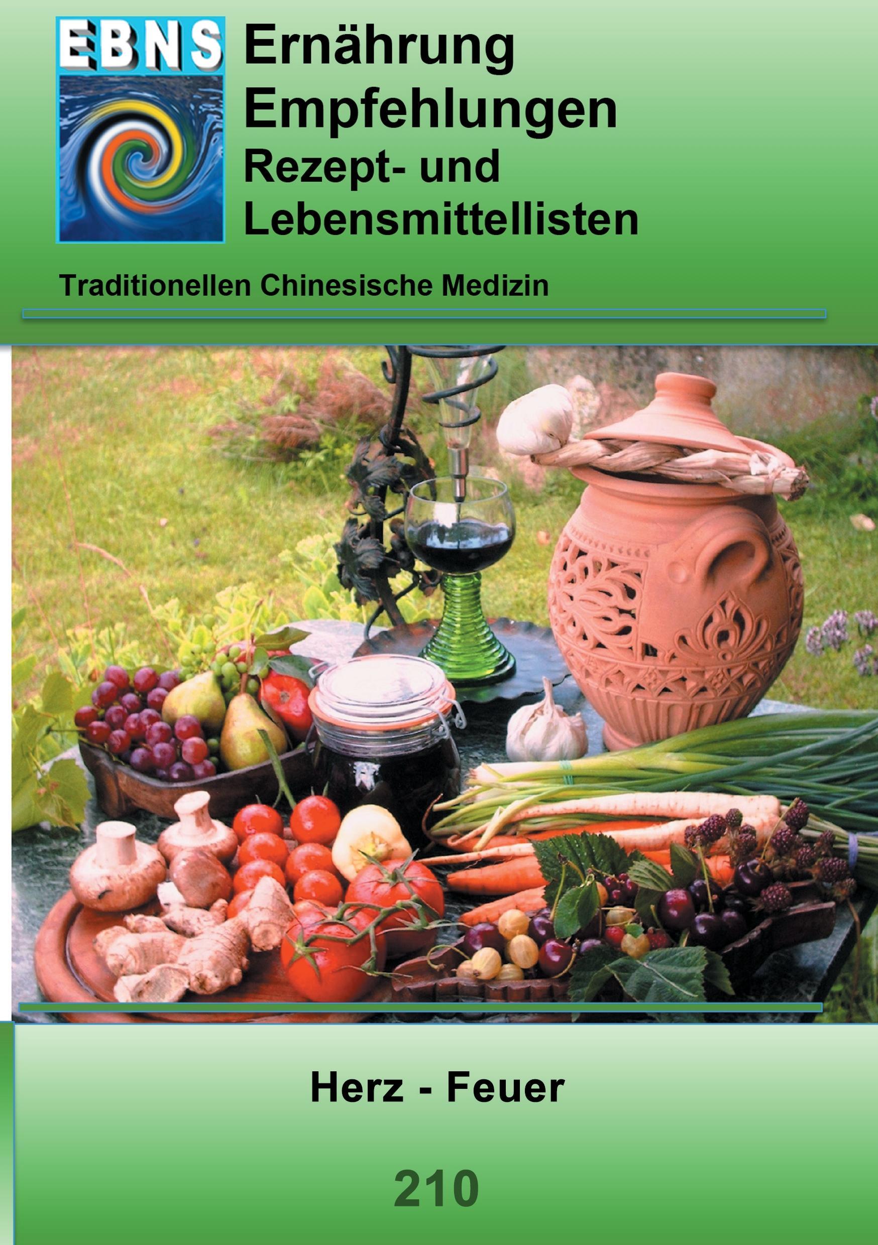 Cover: 9783842378131 | Ernährung -TCM - Herz - Feuer | Josef Miligui | Taschenbuch | 52 S.