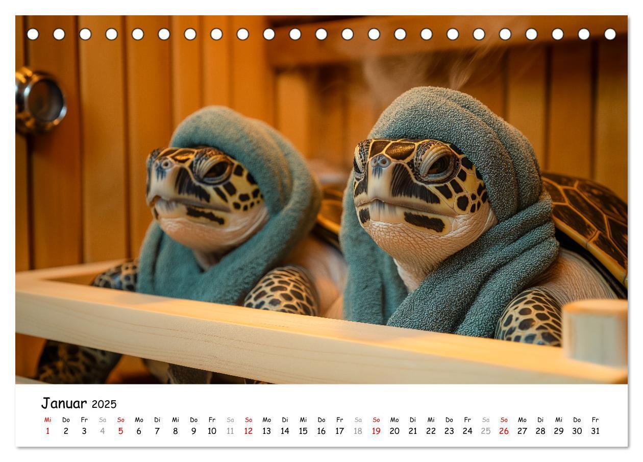 Bild: 9783457215890 | CHILL MAL - Entspannte Schildkröten beim Faulenzen (Tischkalender...