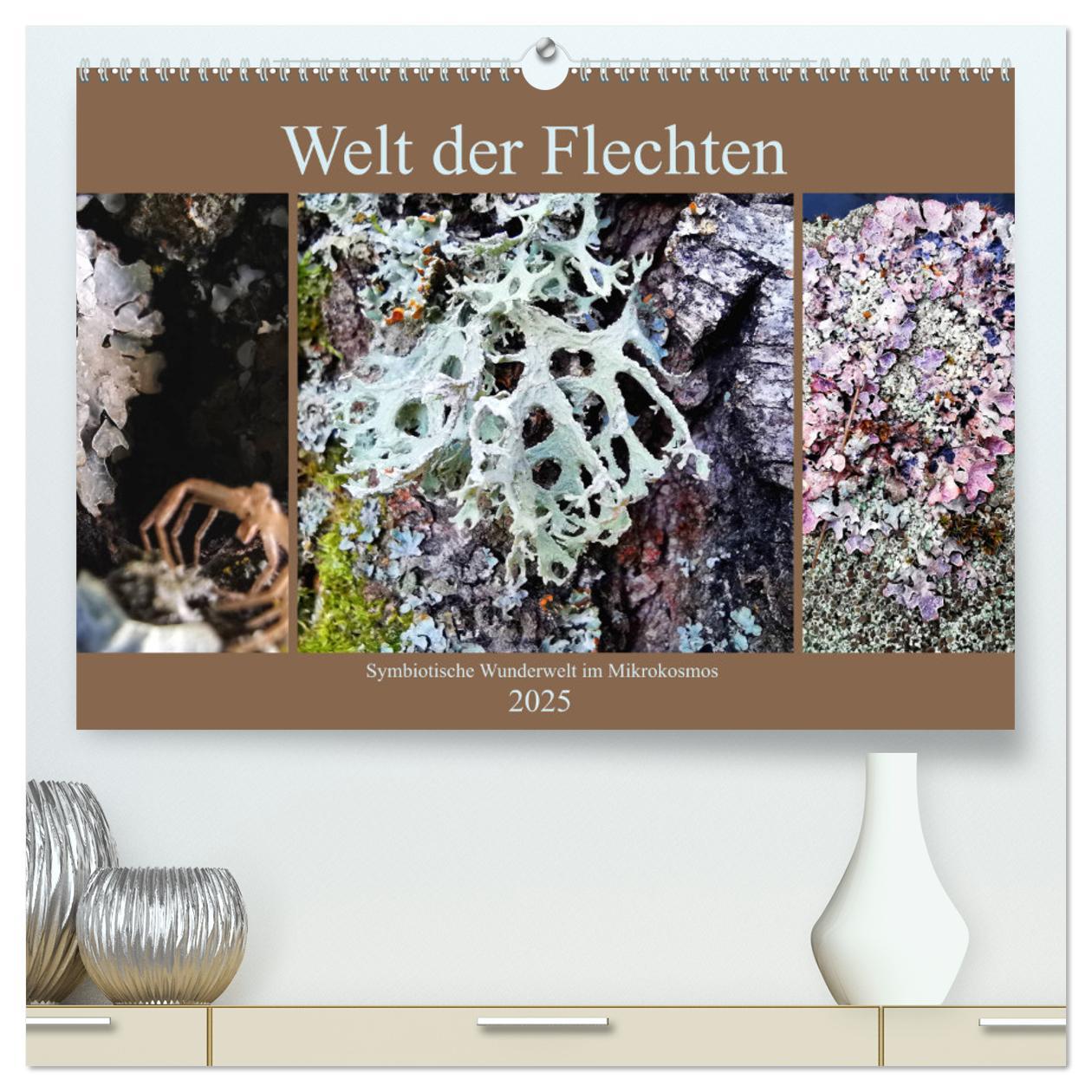 Cover: 9783435129171 | Welt der Flechten (hochwertiger Premium Wandkalender 2025 DIN A2...