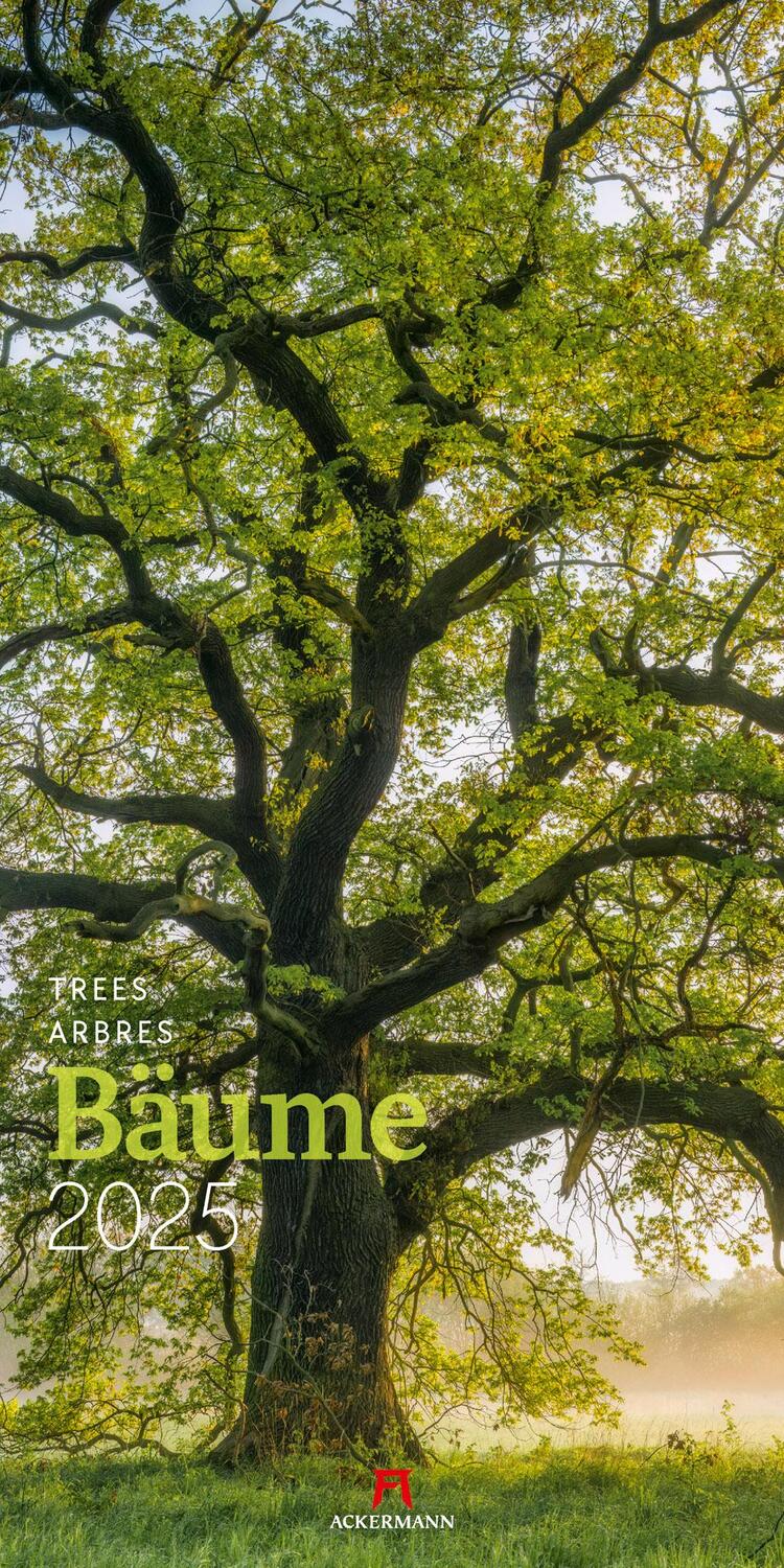 Cover: 9783838425207 | Bäume Kalender 2025 | Ackermann Kunstverlag | Kalender | Spiralbindung