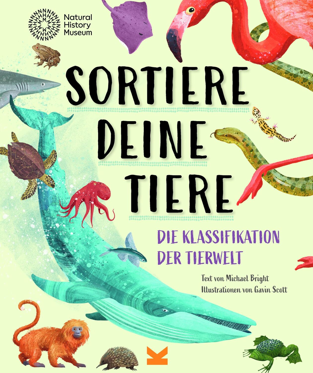 Cover: 9783962444020 | Sortiere deine Tiere | Die Klassifikation der Tierwelt | Bright | Buch