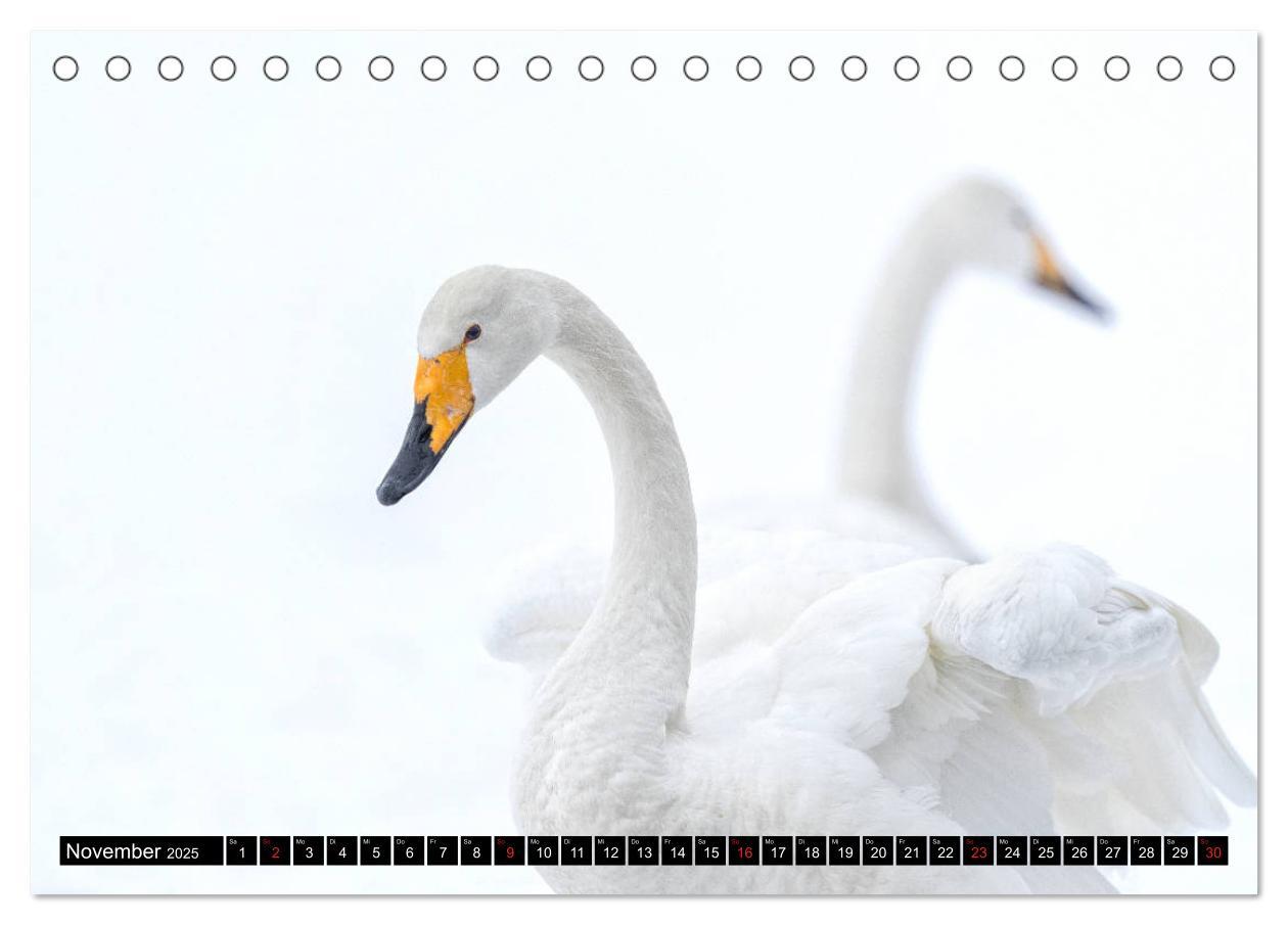 Bild: 9783435292103 | Japanische Vogelwelt im Winter (Tischkalender 2025 DIN A5 quer),...