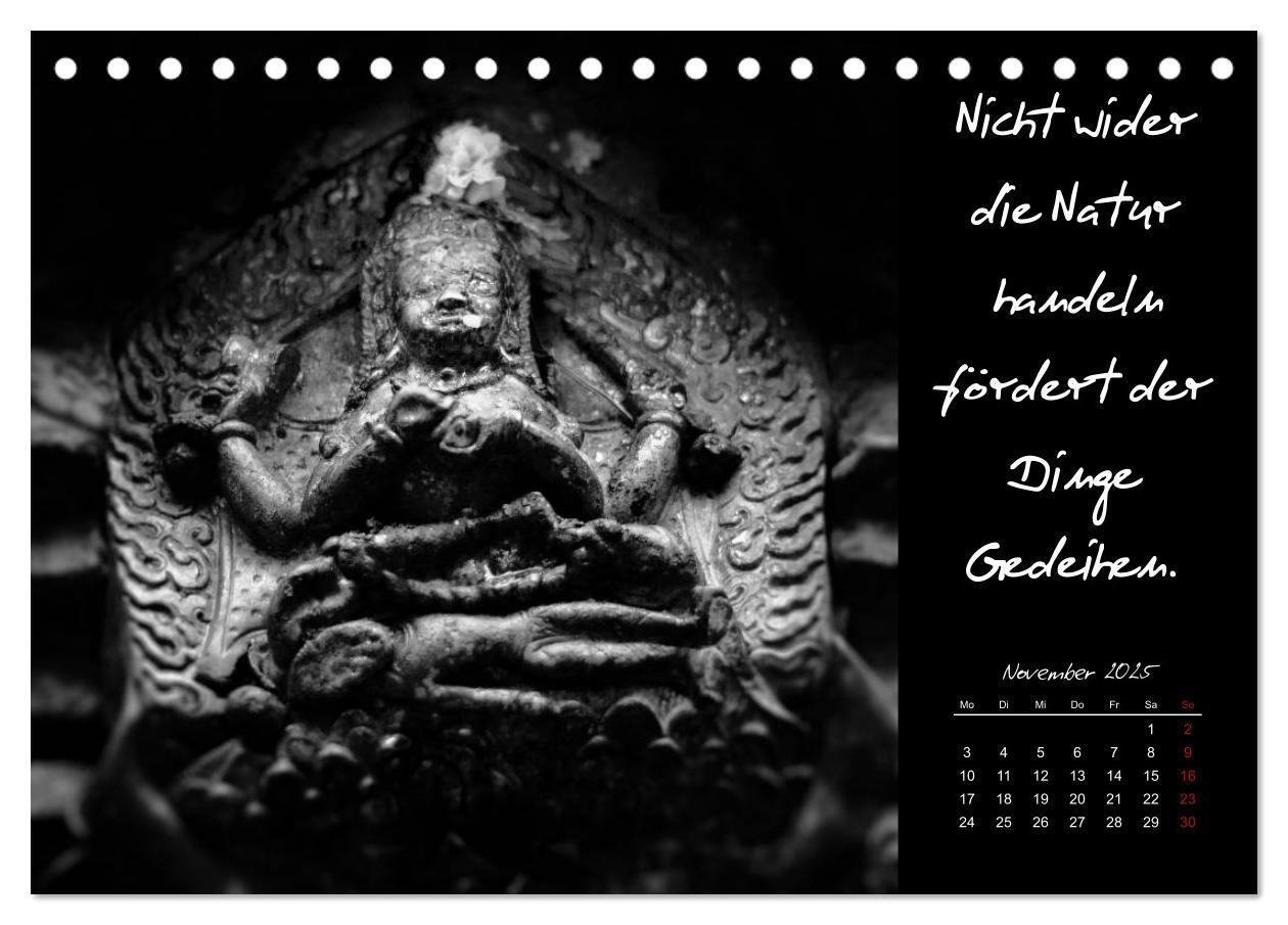 Bild: 9783435628292 | Worte des Buddha 2025 (Tischkalender 2025 DIN A5 quer), CALVENDO...