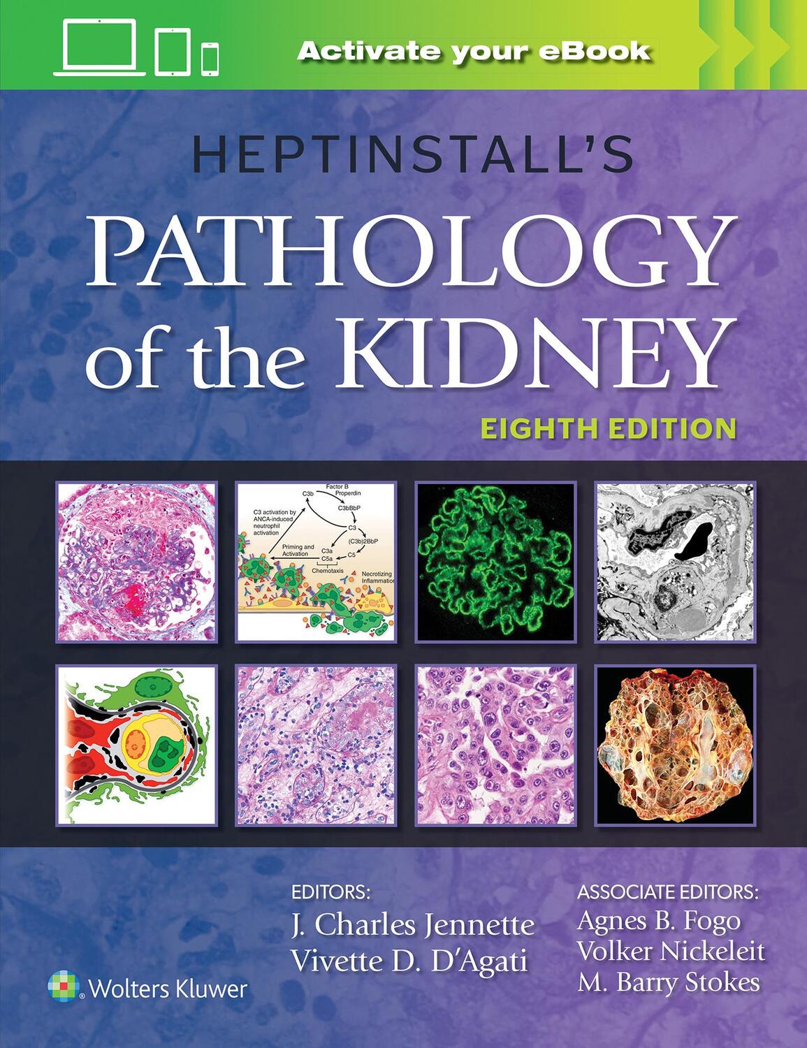 Cover: 9781975161538 | Heptinstall's Pathology of the Kidney | J. Charles Jennette (u. a.)