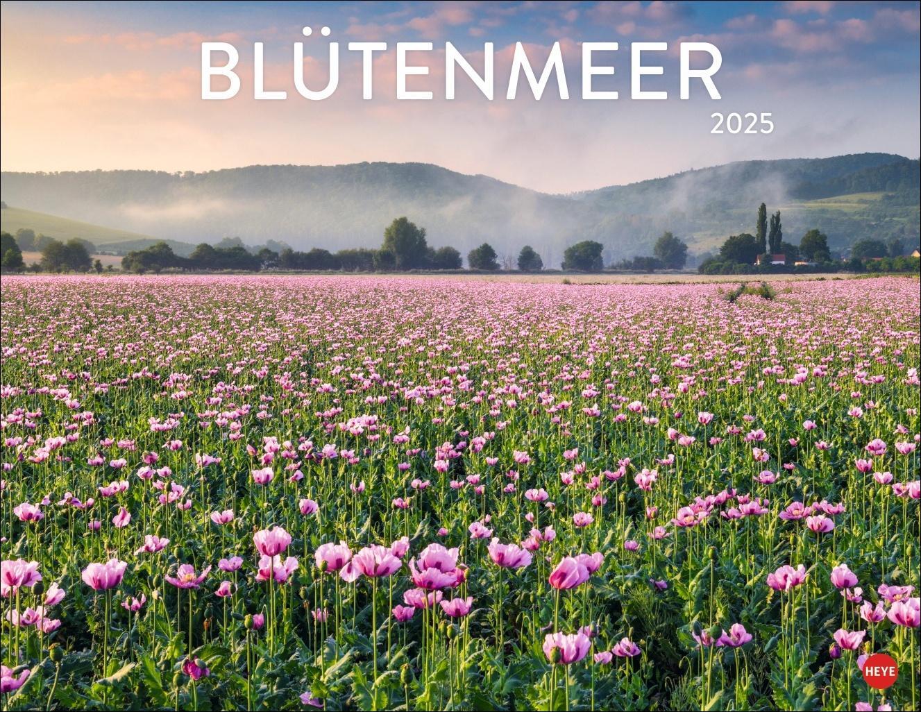 Cover: 9783756405084 | Blütenmeer Posterkalender 2025 | Heye | Kalender | Spiralbindung
