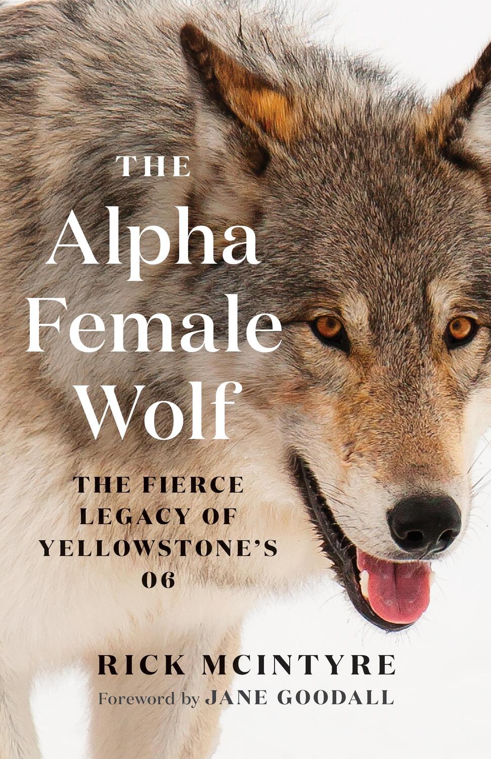 Cover: 9781771648585 | The Alpha Female Wolf: The Fierce Legacy of Yellowstone's 06 | Buch