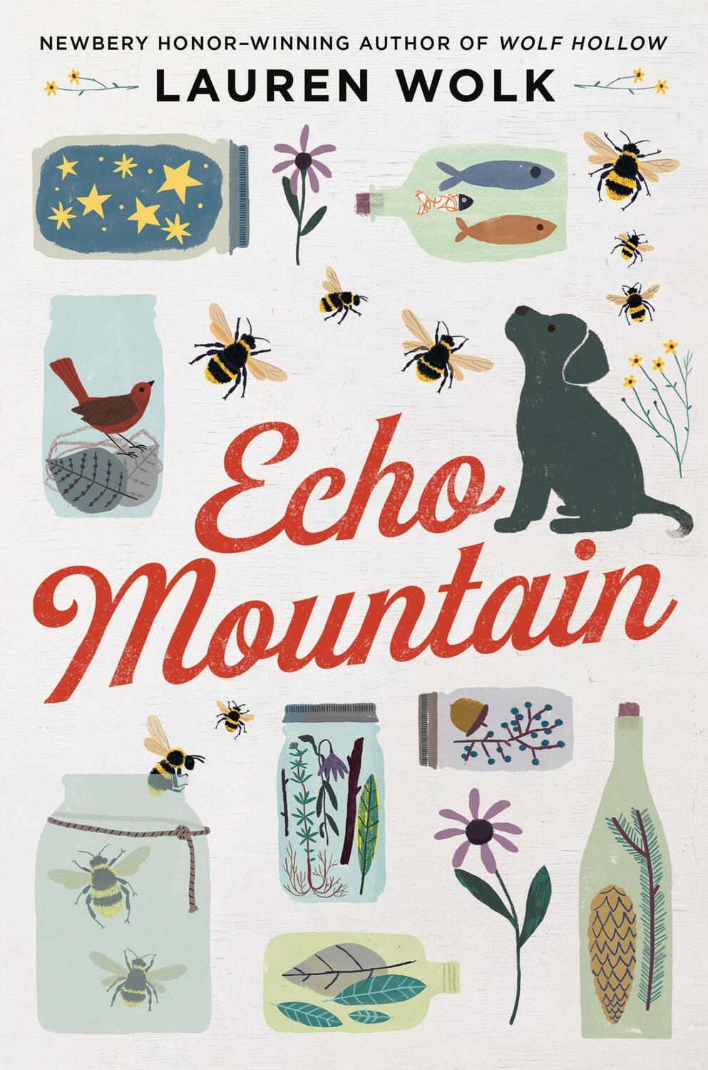 Cover: 9780525555582 | Echo Mountain | Lauren Wolk | Taschenbuch | 368 S. | Englisch | 2021