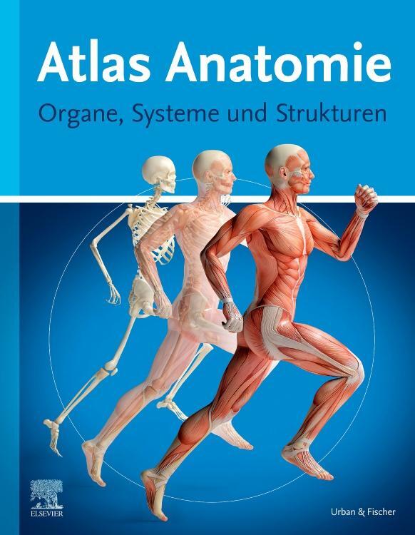 Cover: 9783437445033 | Atlas Anatomie | Organe, Systeme und Strukturen | Buch | Deutsch