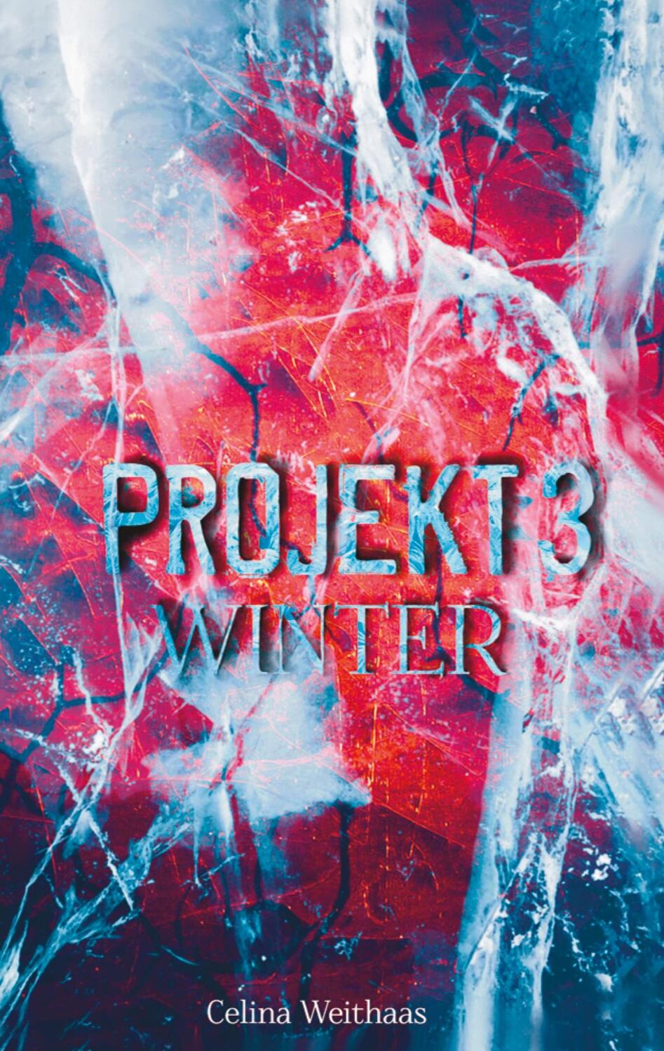 Cover: 9783347423244 | Winter | Projekt III | Celina Weithaas | Taschenbuch | Paperback