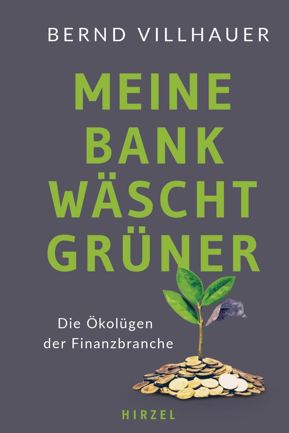 Cover: 9783777633398 | Meine Bank wäscht grüner | Die Ökolügen der Finanzbranche | Villhauer