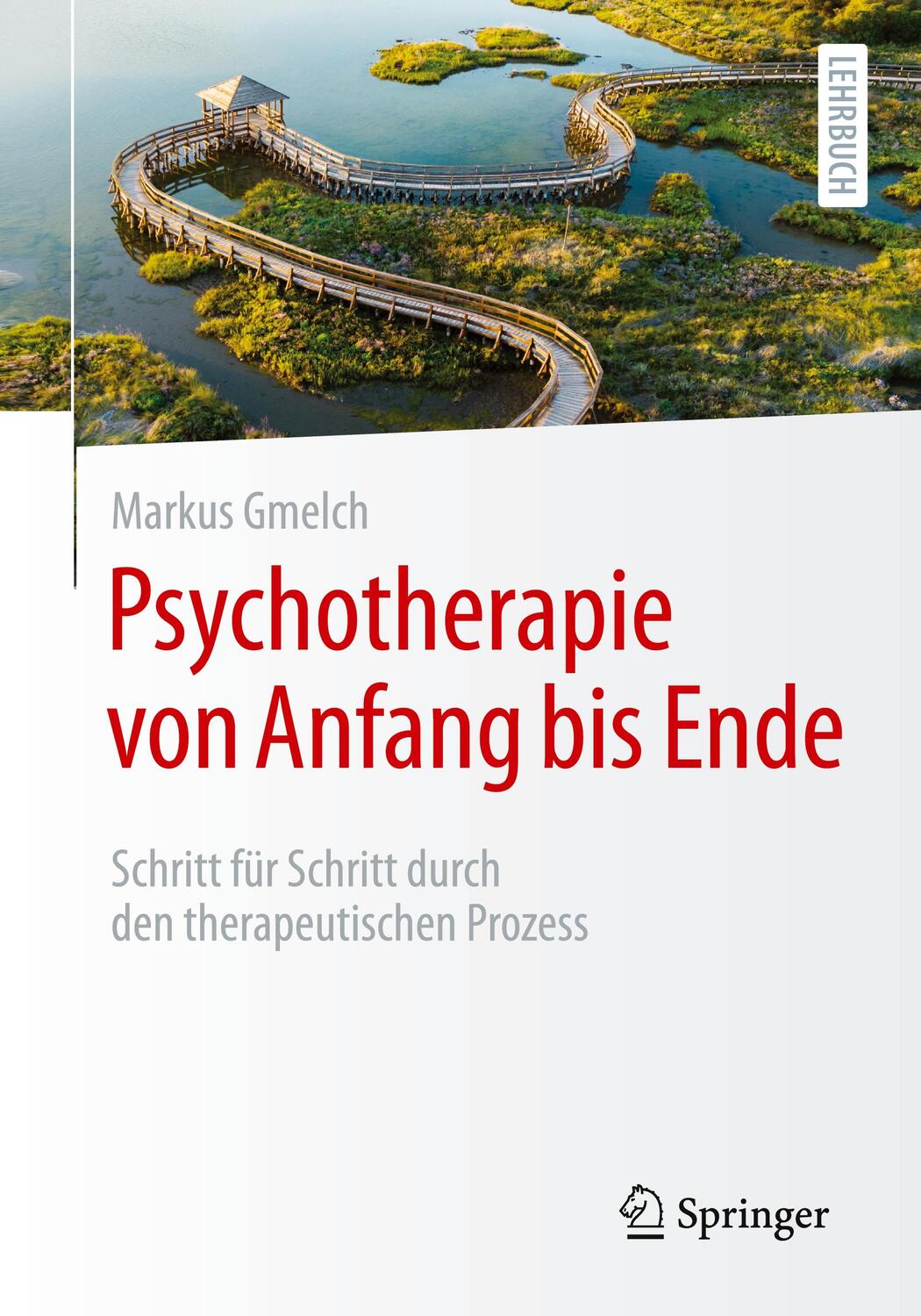 Cover: 9783662684894 | Psychotherapie von Anfang bis Ende | Markus Gmelch | Taschenbuch | xi