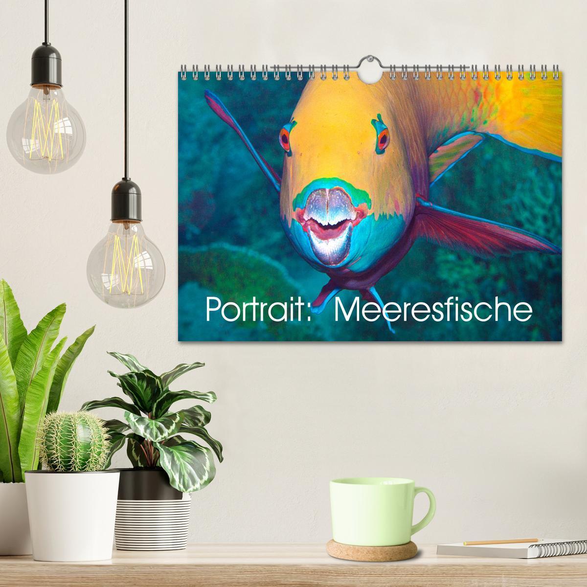 Bild: 9783435293667 | Portrait: Meeresfische (Wandkalender 2025 DIN A4 quer), CALVENDO...