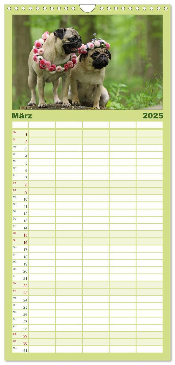 Bild: 9783457119709 | Familienplaner 2025 - Der MOPS-Kalender mit 5 Spalten...