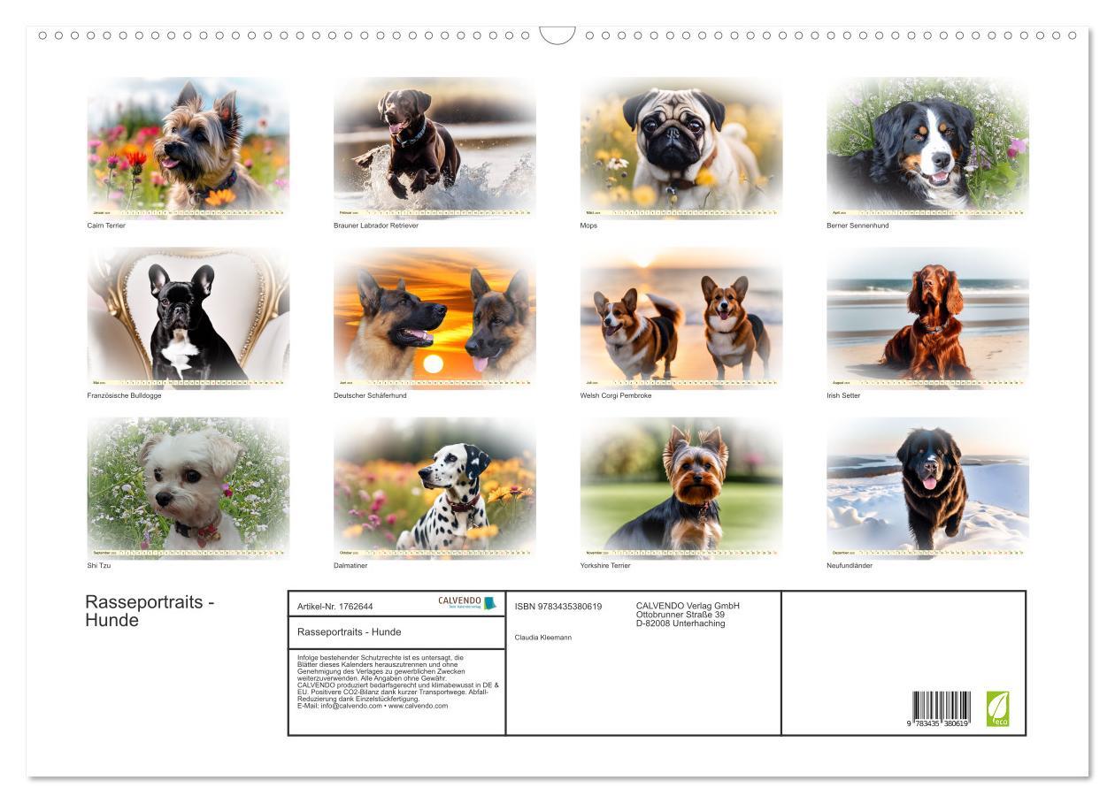 Bild: 9783435380619 | Rasseportraits - Hunde (Wandkalender 2025 DIN A2 quer), CALVENDO...