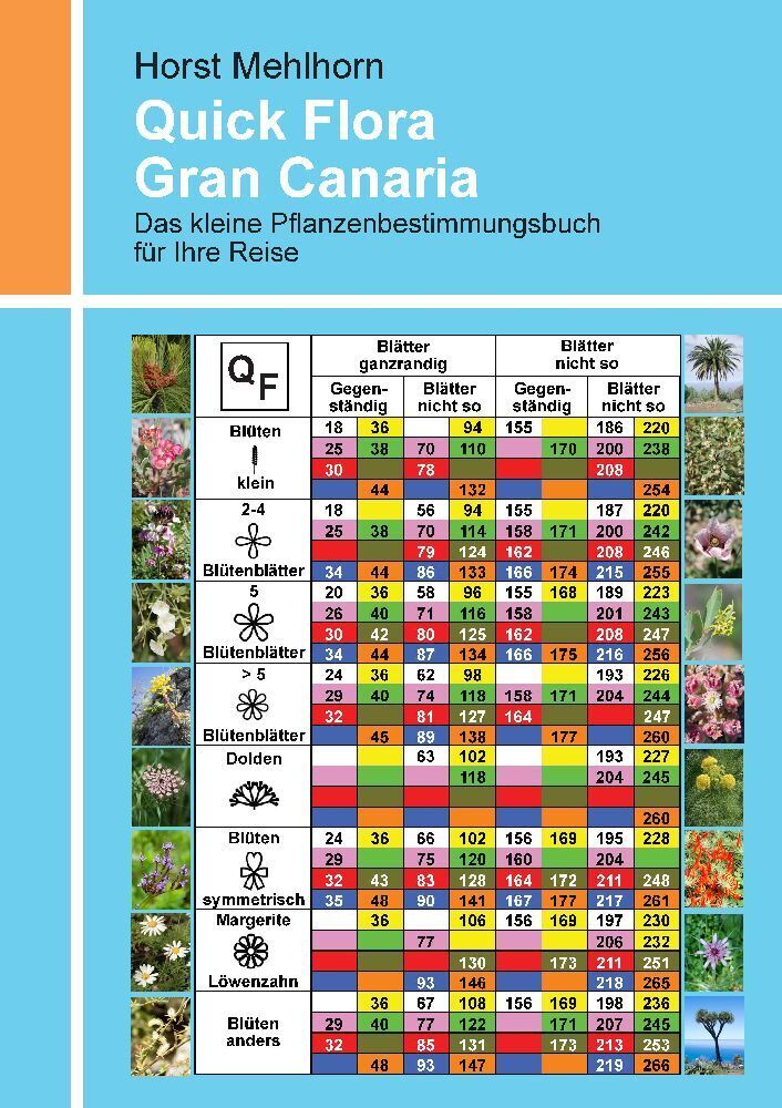 Cover: 9783347754492 | Quick Flora Gran Canaria | Horst Mehlhorn | Taschenbuch | 308 S.
