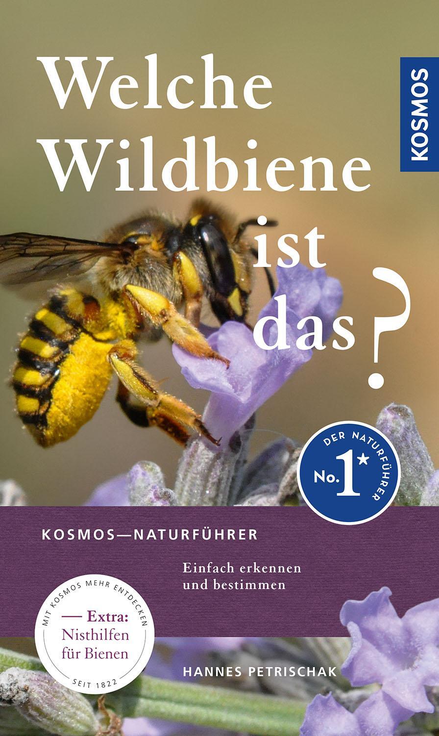 Cover: 9783440168936 | Welche Wildbiene ist das? | Hannes Petrischak | Taschenbuch | 144 S.