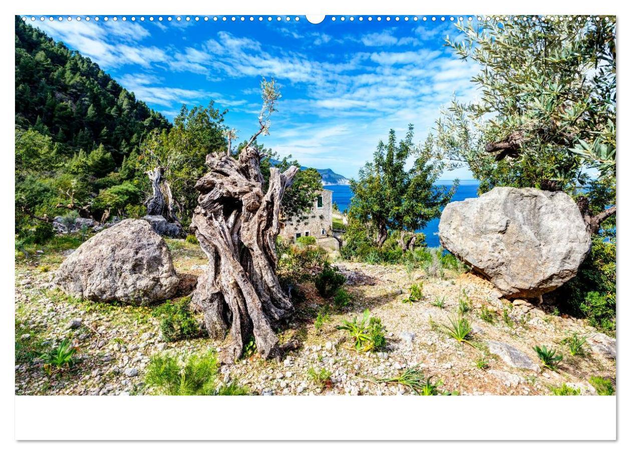 Bild: 9783435609024 | Wildes und romantisches Mallorca (Wandkalender 2025 DIN A2 quer),...