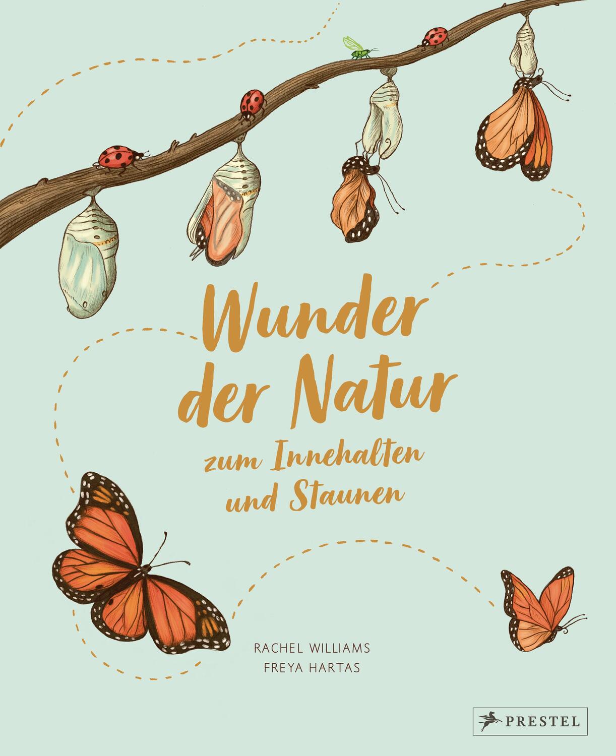 Cover: 9783791374475 | Wunder der Natur zum Innehalten und Staunen | Rachel Williams (u. a.)
