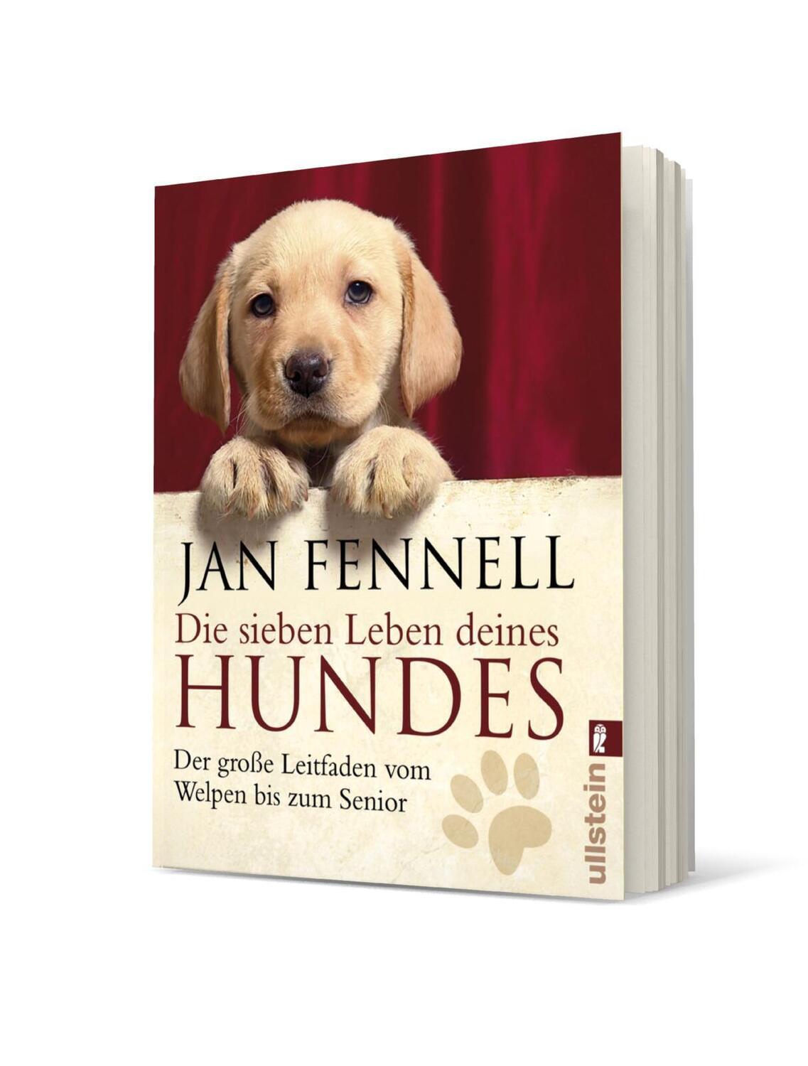 Bild: 9783548372150 | Die sieben Leben deines Hundes | Jan Fennell | Taschenbuch | Deutsch