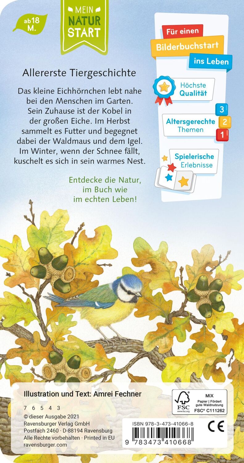 Rückseite: 9783473410668 | Ich bin das kleine Eichhörnchen | Amrei Fechner | Buch | Naturstart