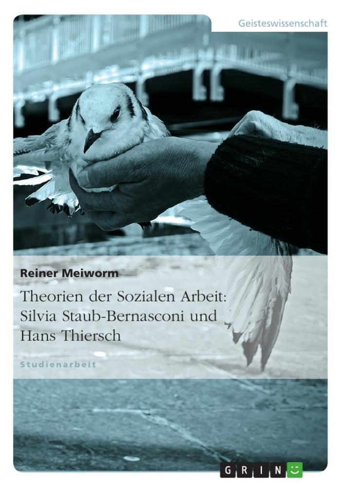 Cover: 9783656163954 | Theorien der Sozialen Arbeit: Silvia Staub-Bernasconi und Hans...