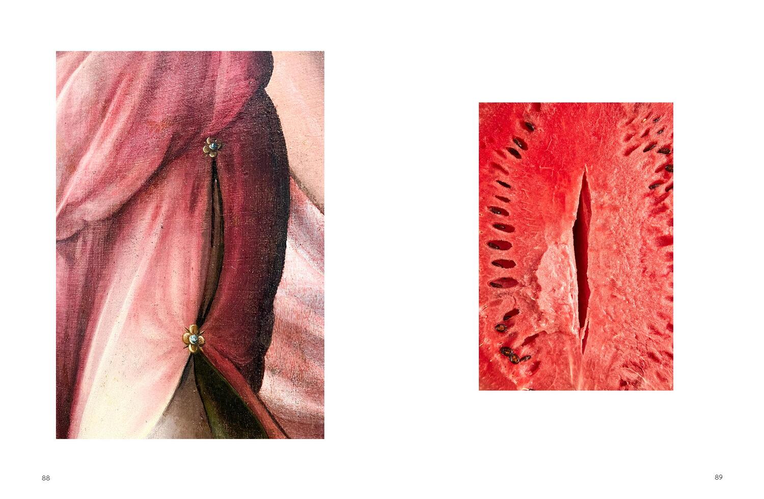 Bild: 9783832169367 | I see Vulvas everywhere | 100 % pornofrei | Lisa Frischemeier | Buch