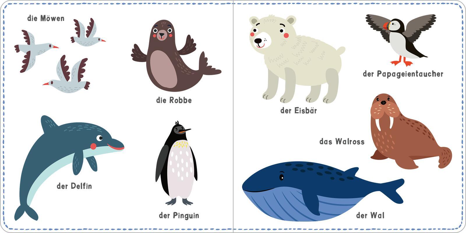 Bild: 9783845845685 | Mein kunterbuntes Wörterbuch - Tiere | Izabella Markiewicz | Buch