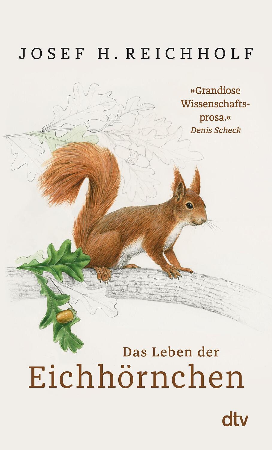 Cover: 9783423349970 | Das Leben der Eichhörnchen | Josef H. Reichholf | Taschenbuch | 2021