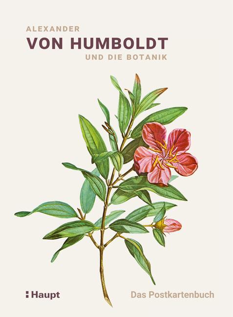 Cover: 9783258081090 | Alexander von Humboldt und die Botanik - Das Postkartenbuch | Lubrich