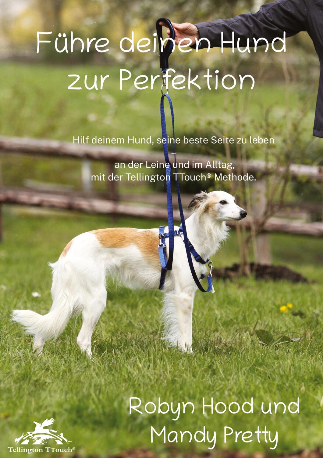 Cover: 9783384030054 | Führe deinen Hund zur Perfektion | Mandy Pretty (u. a.) | Taschenbuch