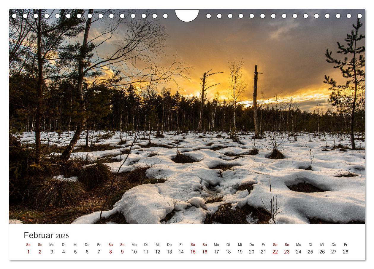 Bild: 9783383812101 | Naturjuwel Haspelmoor (Wandkalender 2025 DIN A4 quer), CALVENDO...