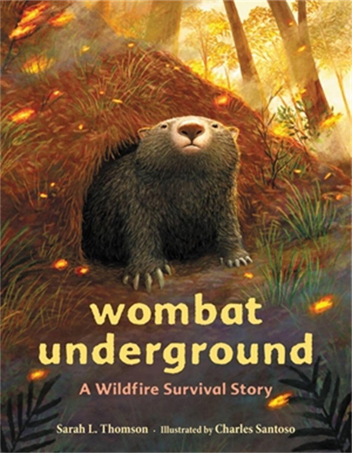 Cover: 9780316707060 | Wombat Underground | A Wildfire Survival Story | Santoso (u. a.)