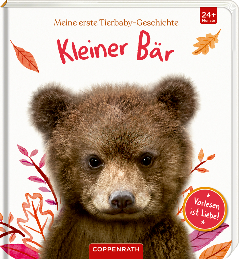 Cover: 9783649643319 | Meine erste Tierbaby-Geschichte: Kleiner Bär | Amanda Wood | Buch