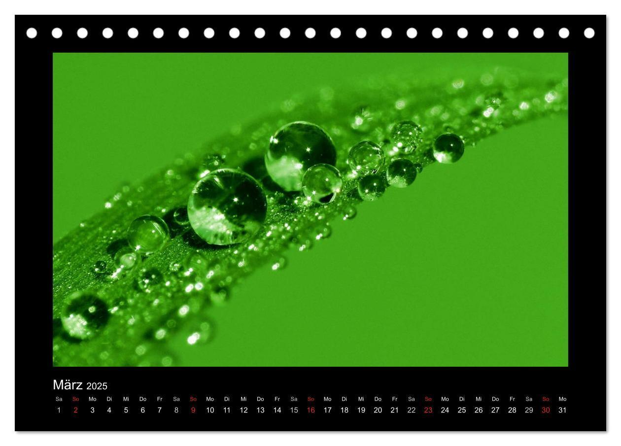 Bild: 9783435838981 | Meine kleine grüne Wassertropfen Welt (Tischkalender 2025 DIN A5...