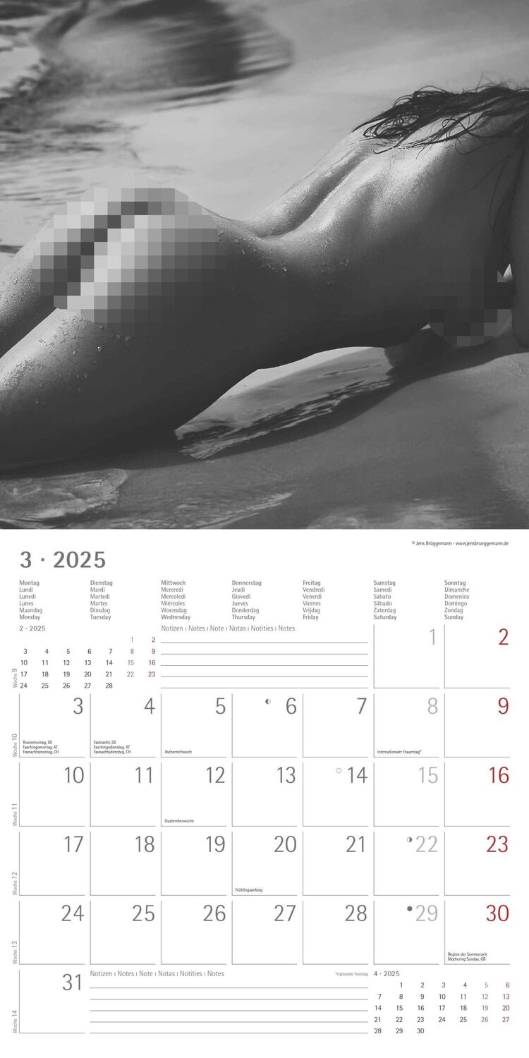 Bild: 4251732340988 | Feminine 2025 - Broschürenkalender 30x30 cm (30x60 geöffnet) -...